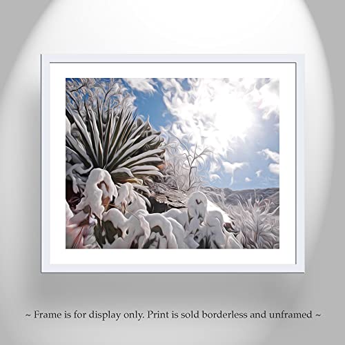 Снимка на Зимния Сняг Аризона с растение Агаве Пустинята