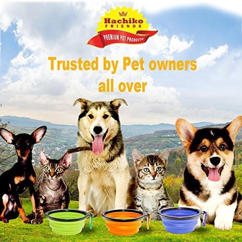 Hachiko Friends , Сгъваеми Купички за домашни любимци, кучета и котки за храна, вода, на малки / Средни домашни любимци. Купи