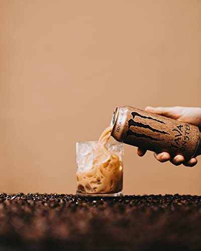 Monster Energy Java Loca Moca, кафе + енергийна напитка, 15 унции (опаковка от 12 броя)