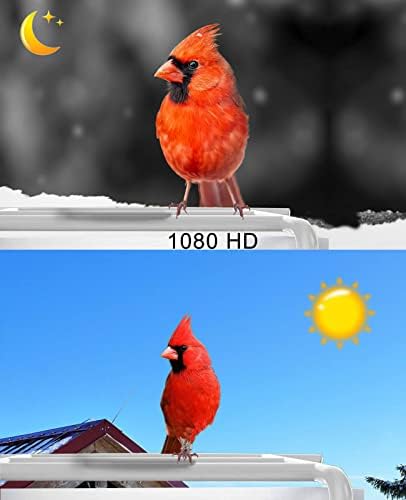 Умна ясла за птици от безжична камера на открито, Хранилки за птици, с камери на улицата, Производство на слънчева енергия, 1080P