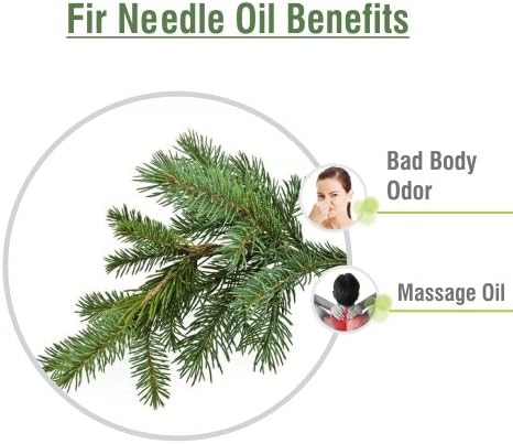 Шипка (Abies Sibirica) | Чисто и Натурално Неразбавленное Етерично масло от Органичен стандарт за грижа за кожата и косата
